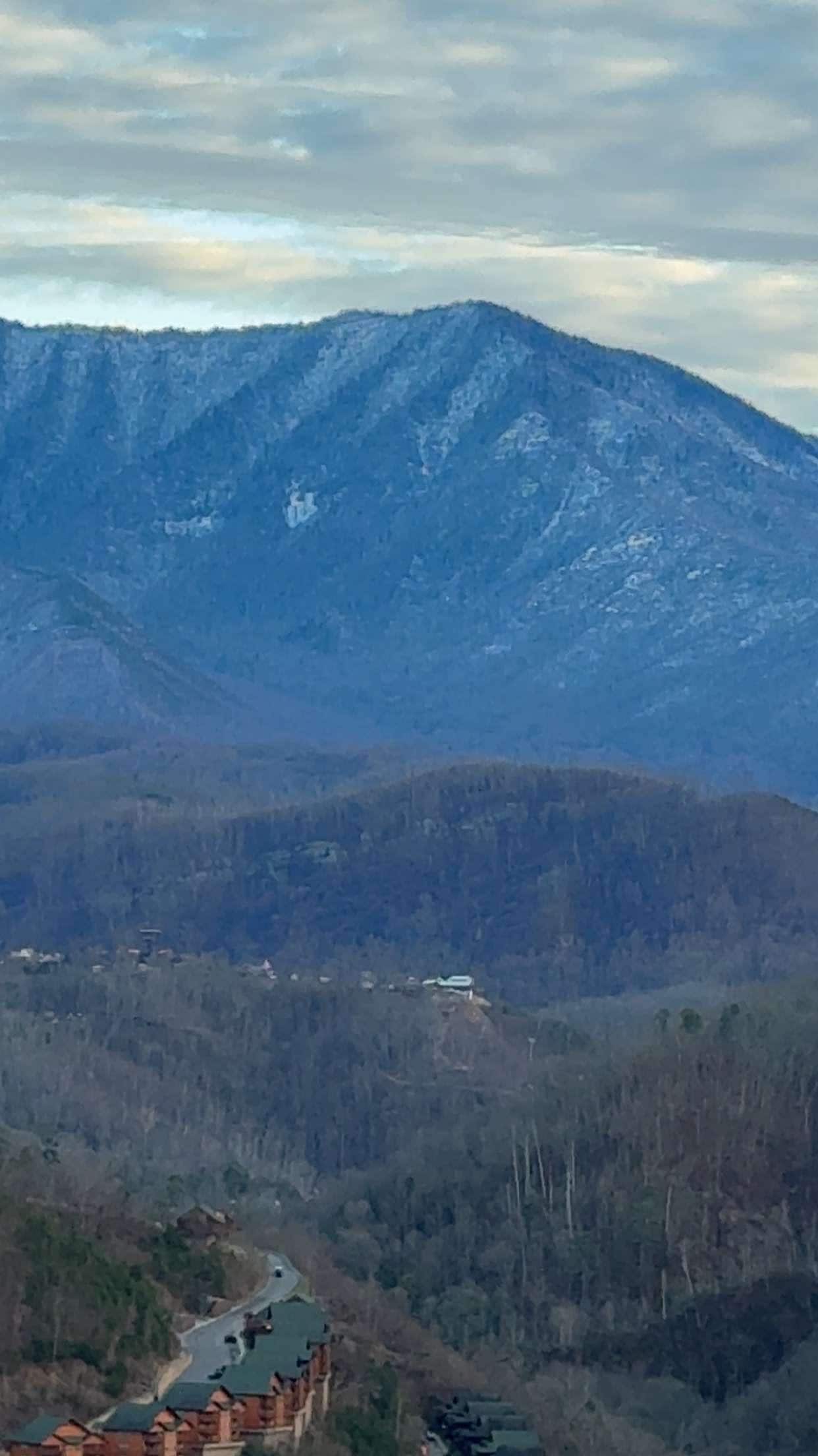 View from the porch.