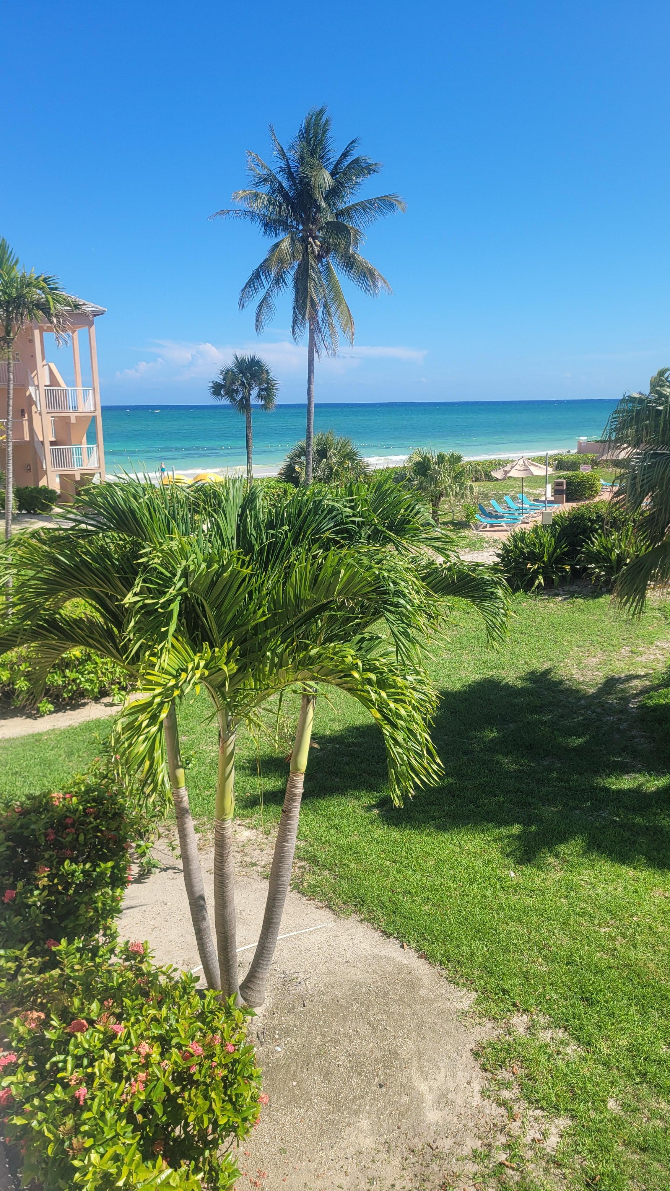 View from room