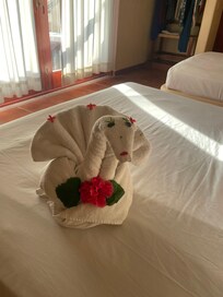 Cute towel animals each day
