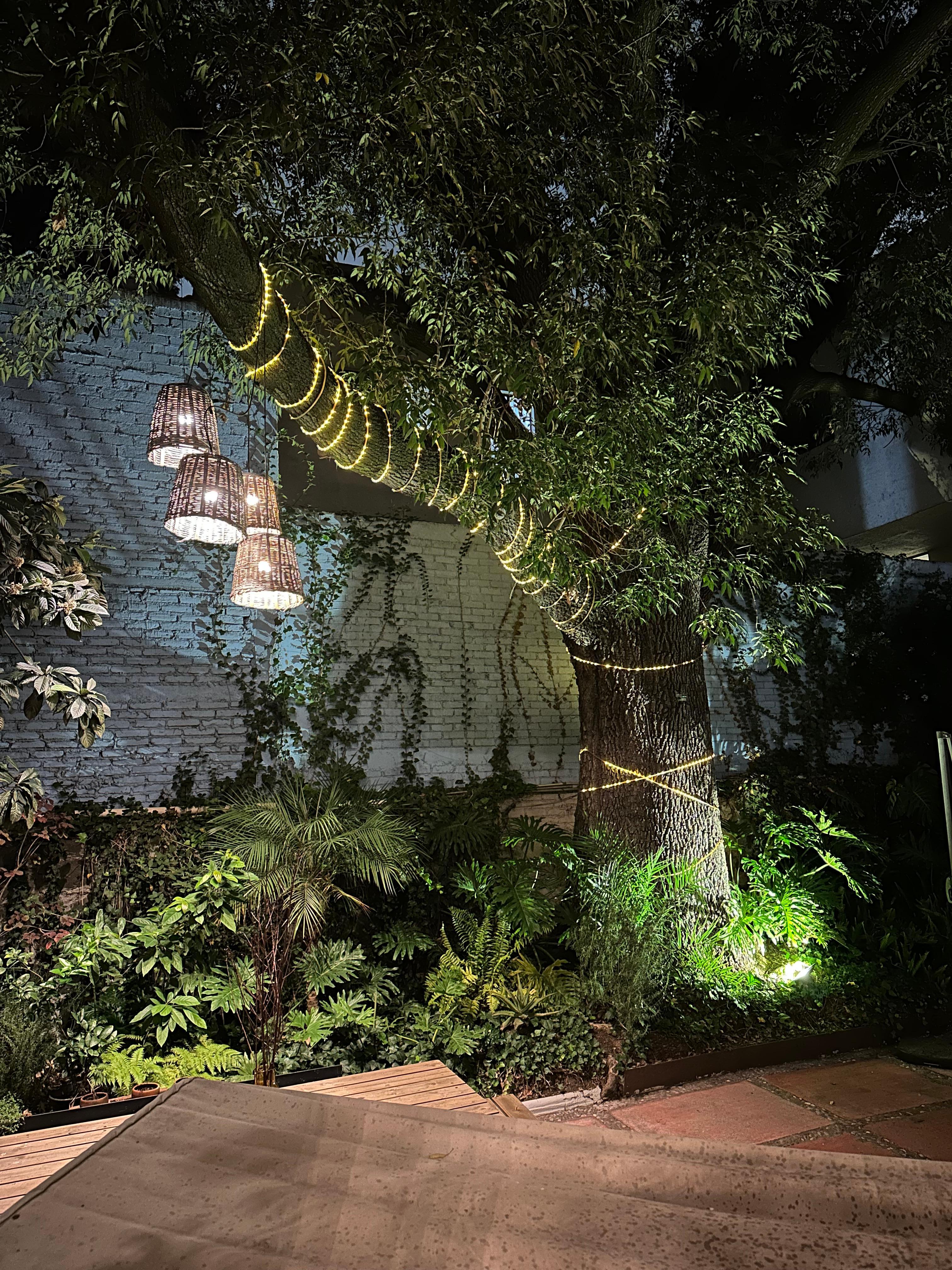 Night view of courtyard