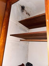Black mold in the closet