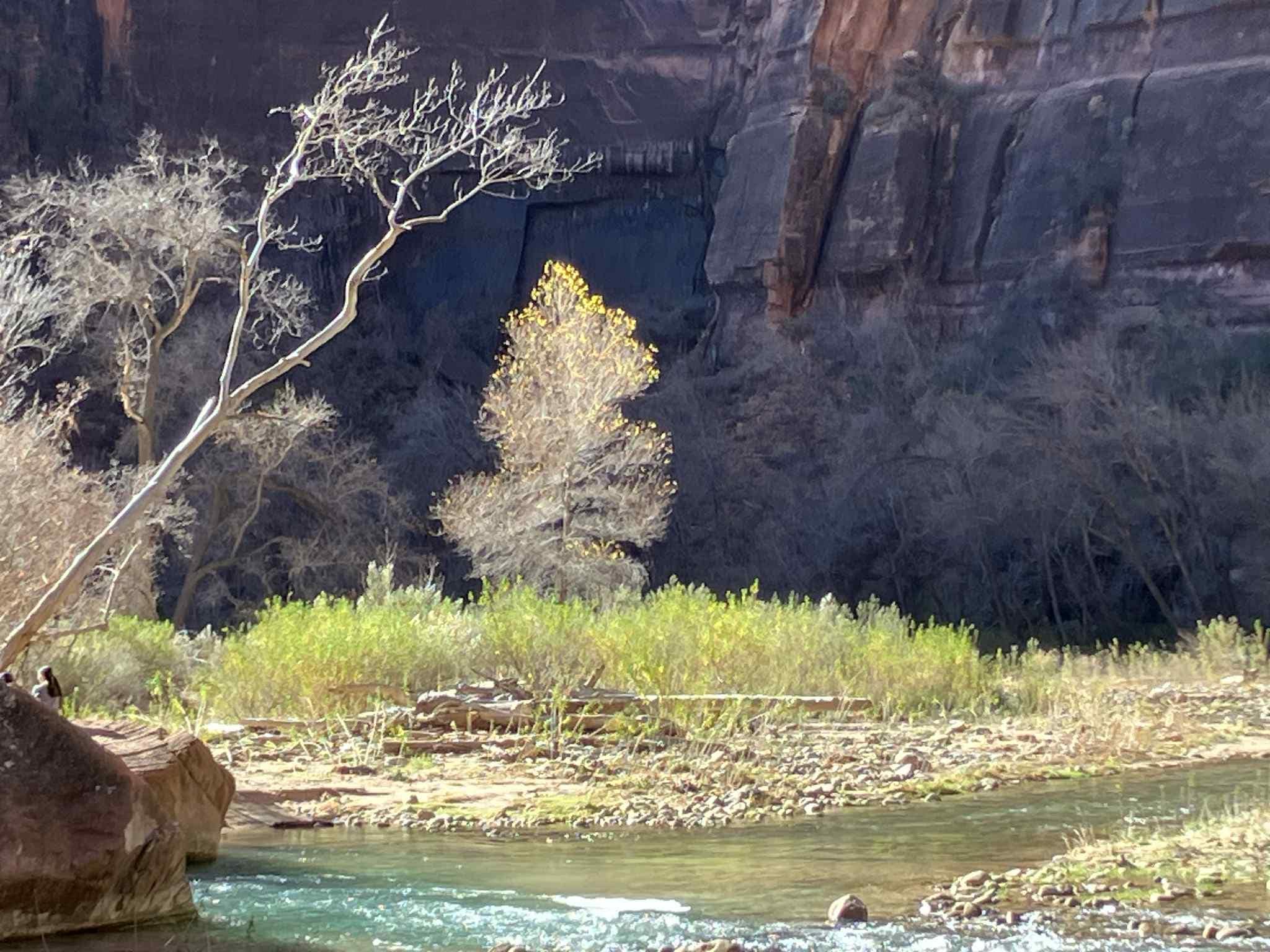 Zion is a photo op around every curve