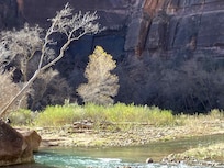 Zion is a photo op around every curve