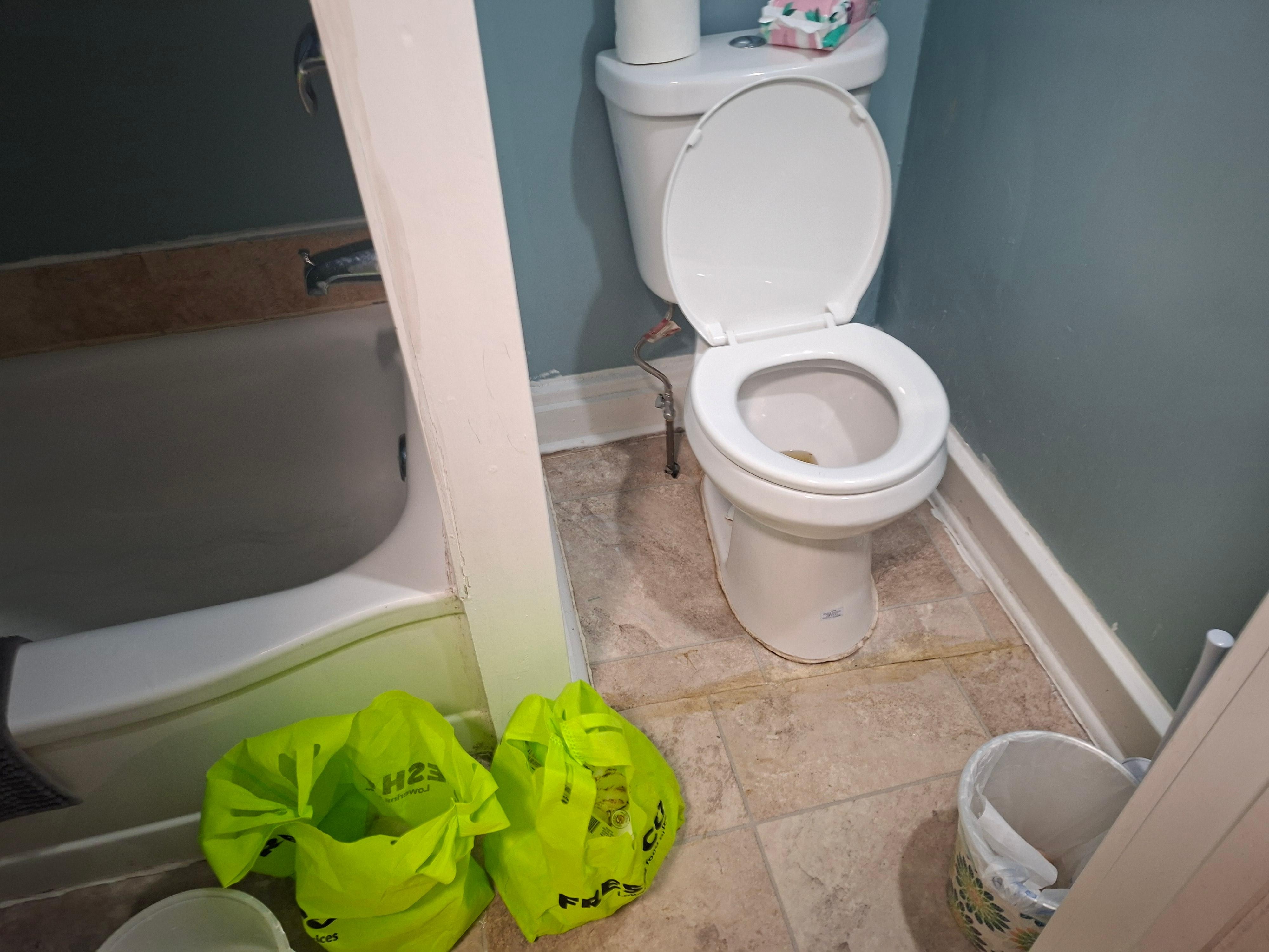 Jugs in bags to use to flush feces