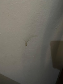 Some
Bodily fluid on wall