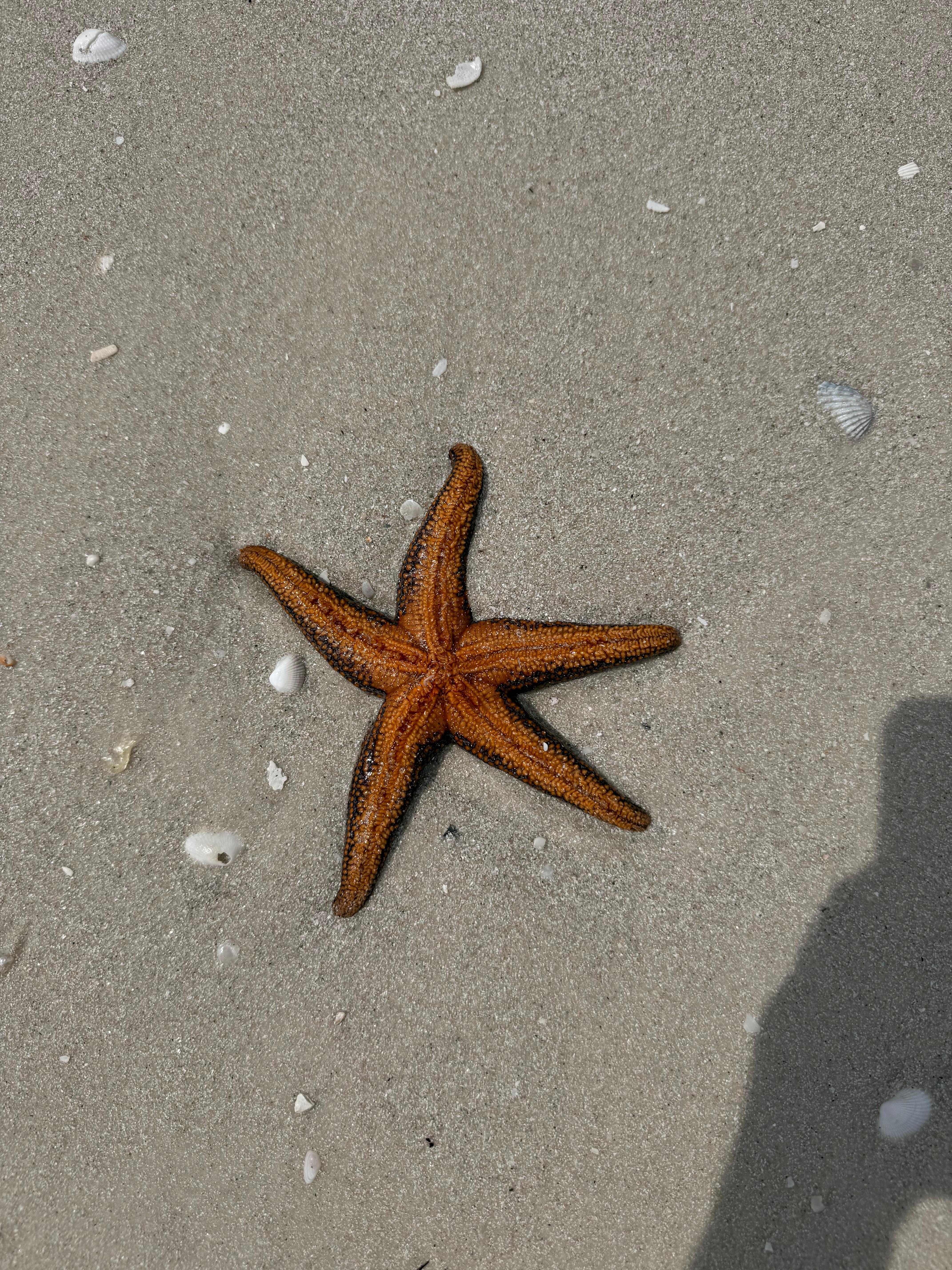 Right off private beach