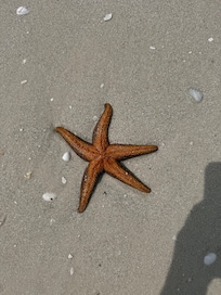 Right off private beach