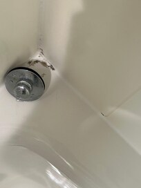 Mold in tub