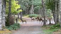 At the end of the driveway