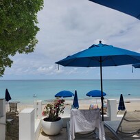 View from the patio