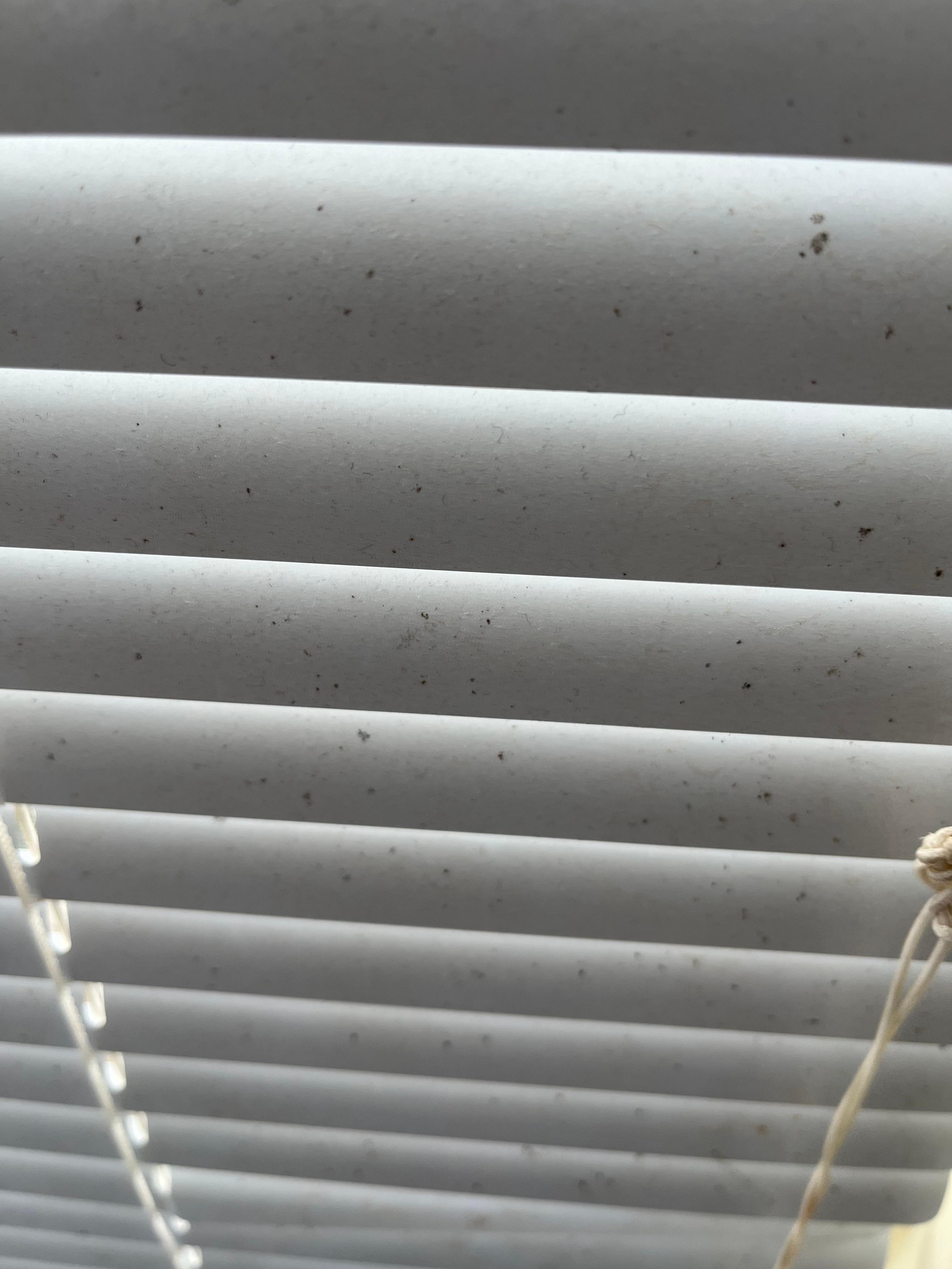 They never cleaned the blinds. And they cover the whole bathroom window. It’s the feature of the room but it’s facing other hotels lol not even the falls