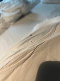 Bed sheets with bloodstains made me seriously doubt if they had been cleaned or changed.