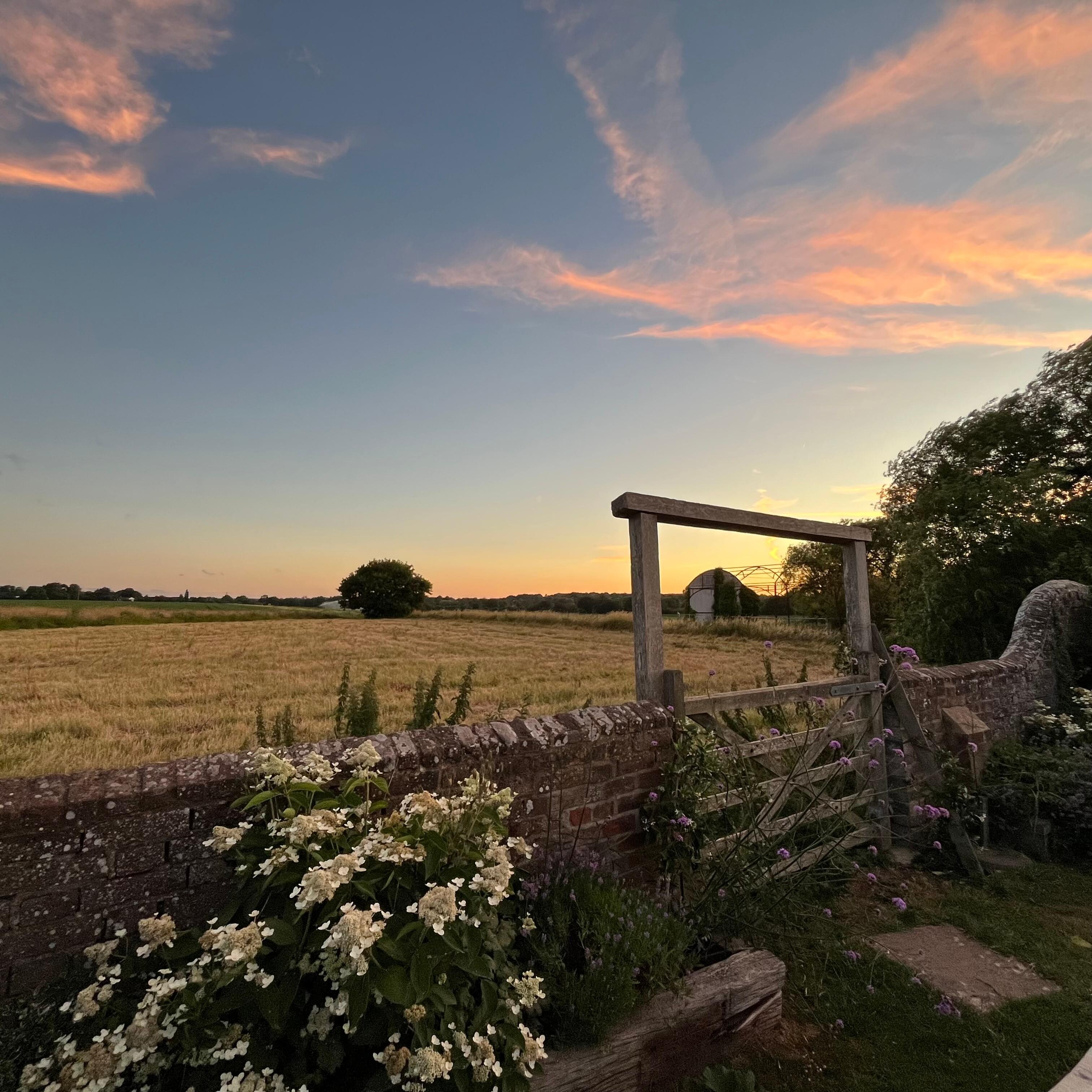 Stunning pub garden 