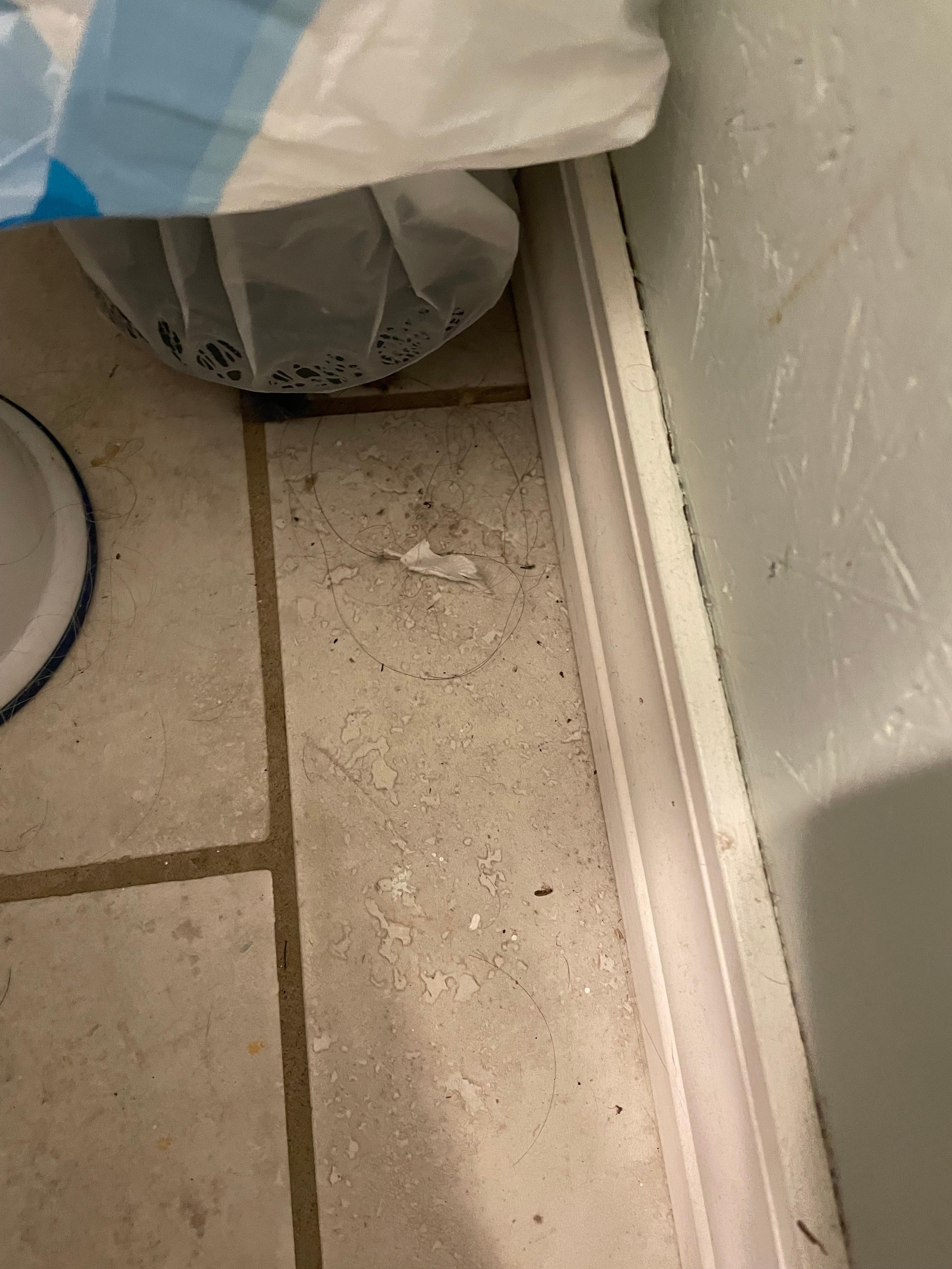 Next to toilet in bathroom 