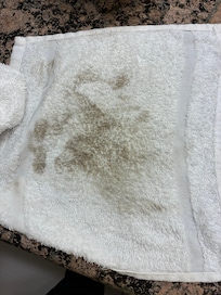Washcloth I used to clean the bottoms of my feet. That was just the first foot