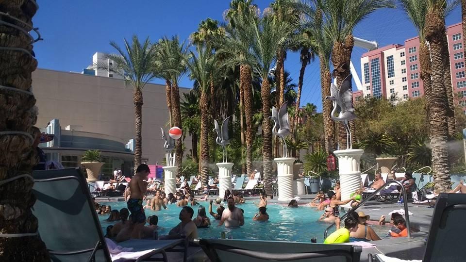 The Family Pool