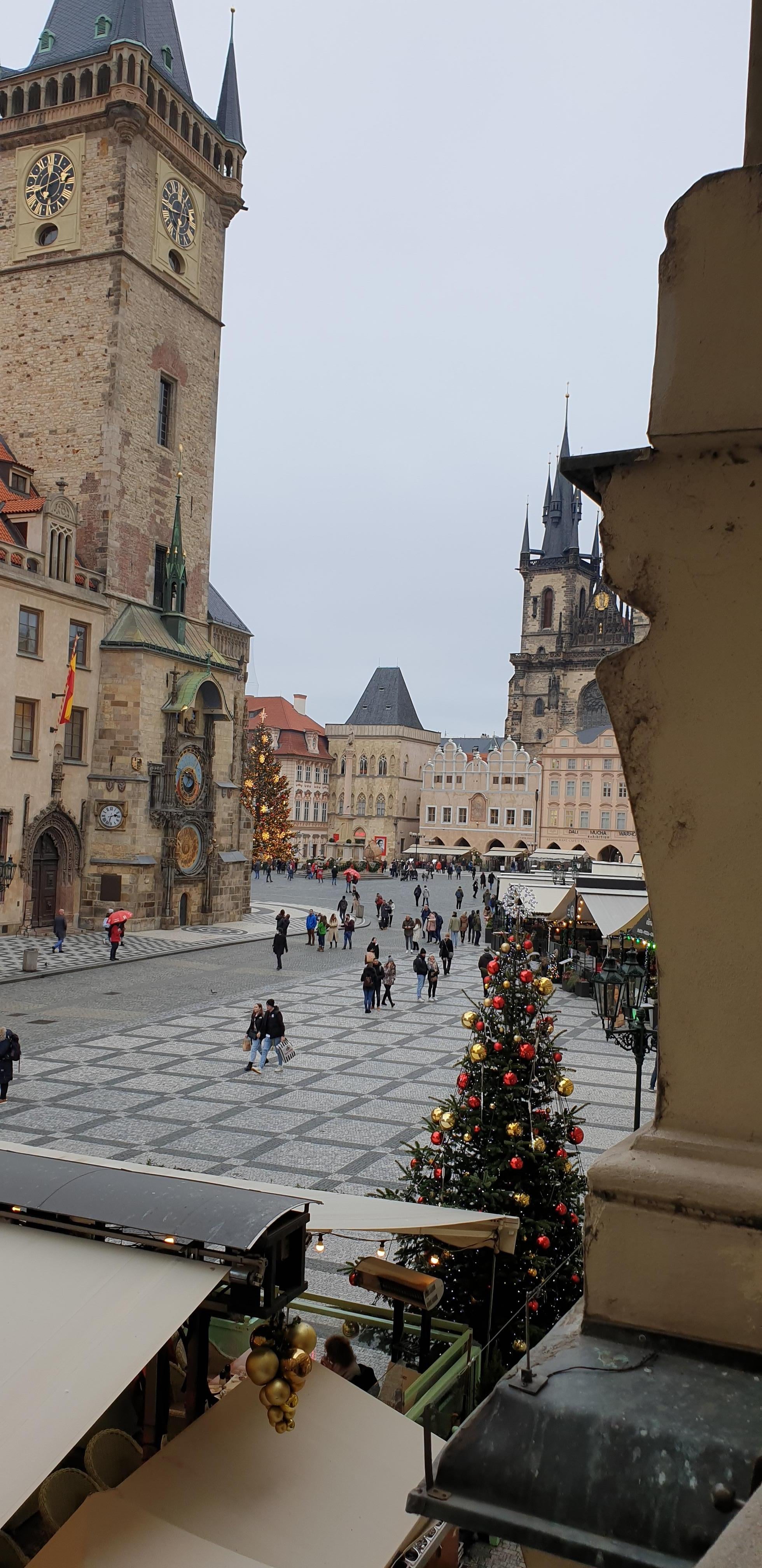 Utsikt fra terrassen. 