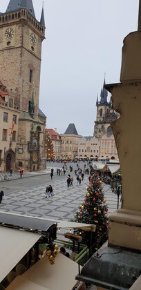 Utsikt fra terrassen.