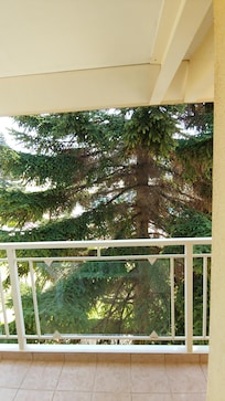 This is the pool view room they have made reservation for me. at high prices they never deserve.
