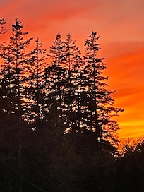 From our cabin.
