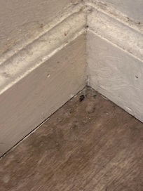 Very dirty floors and base moldings