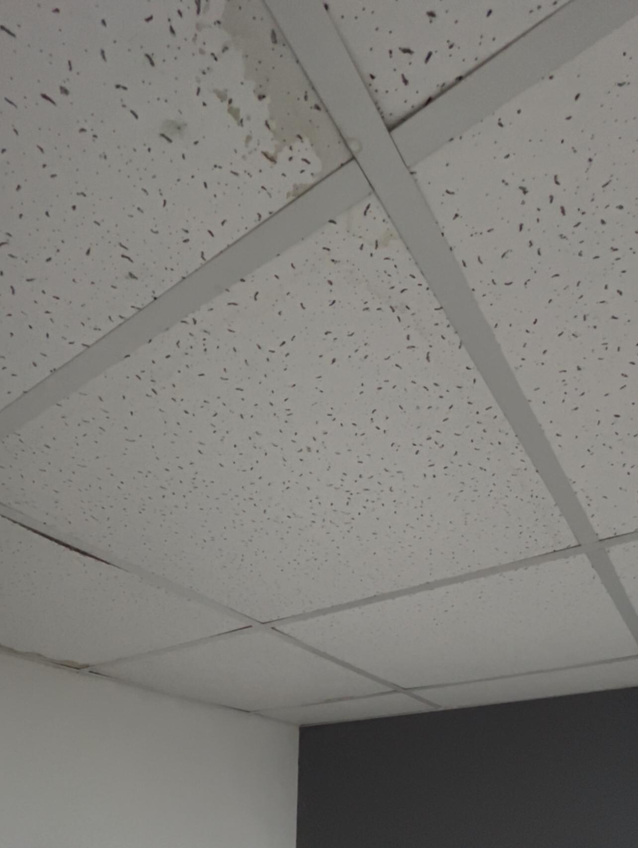 Leaking ceiling