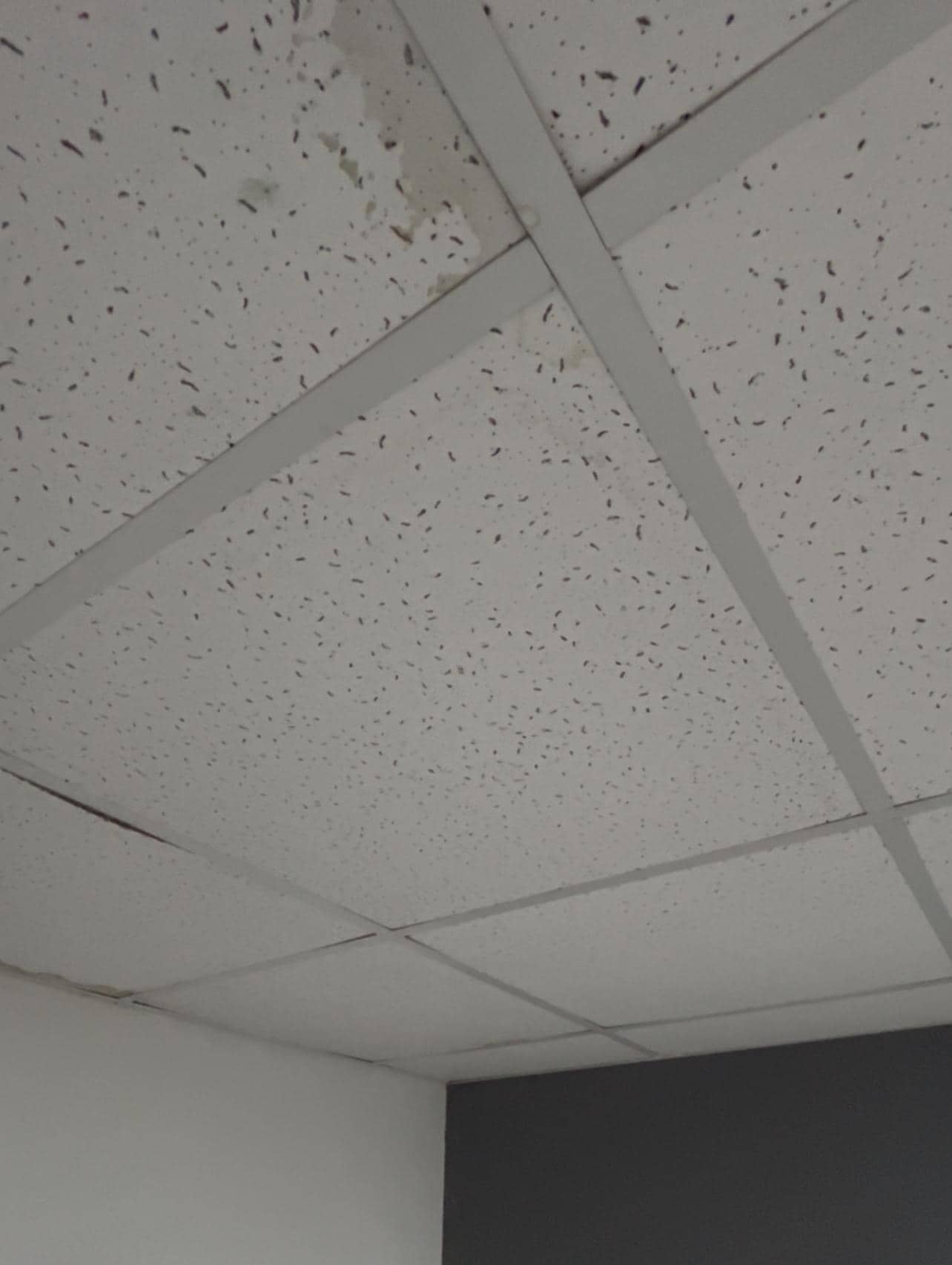 Leaking ceiling
