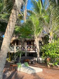 Habitación pasión marina