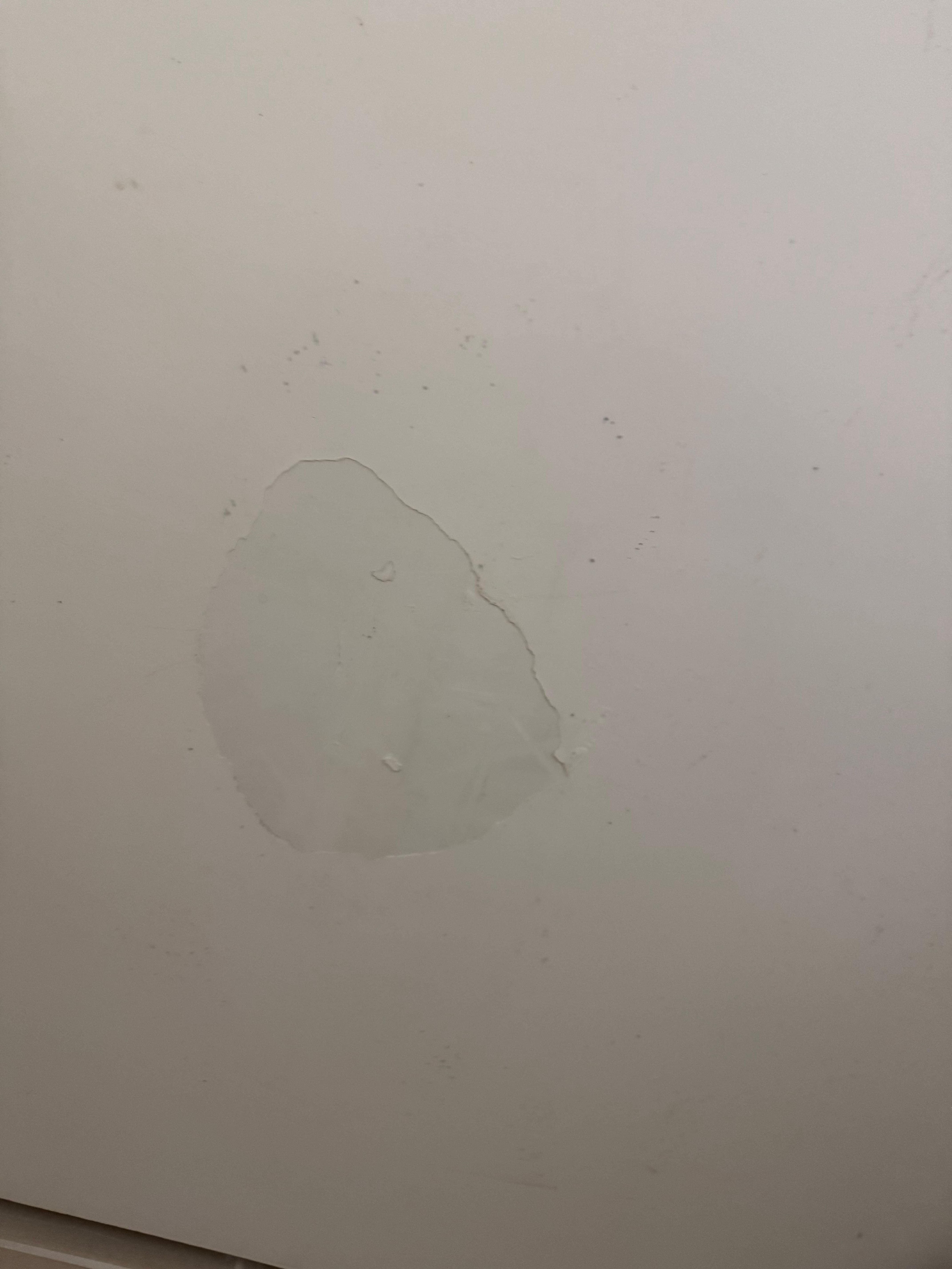 Quarto com muitas traças e com muito mofo. Camas desconfortáveis por conta dos colchões velhos. 