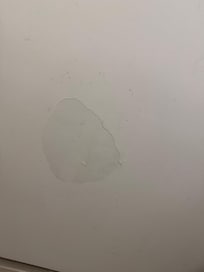 Quarto com muitas traças e com muito mofo. Camas desconfortáveis por conta dos colchões velhos.