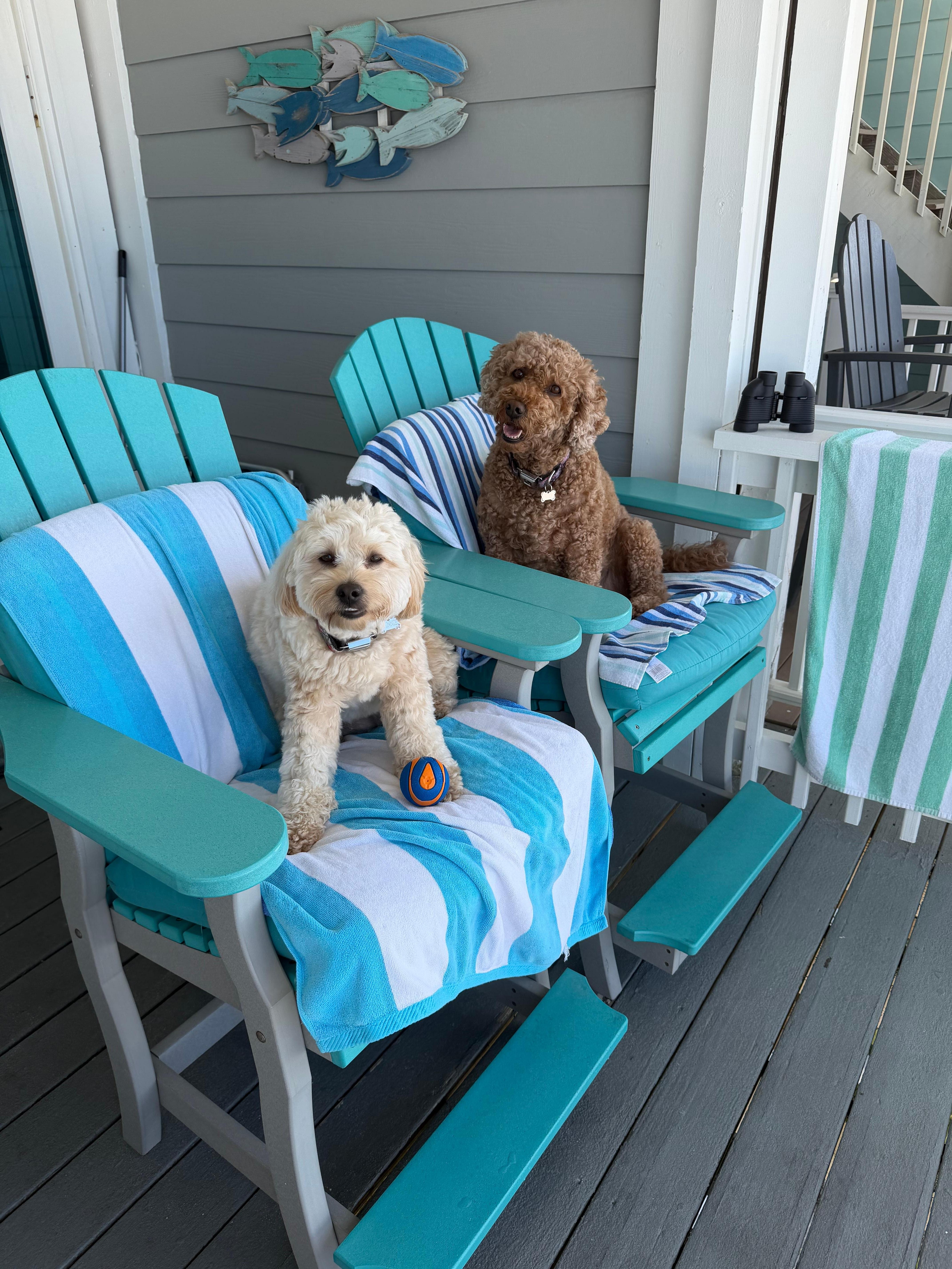 My girls loved sitting in the deck chairs people watching. 