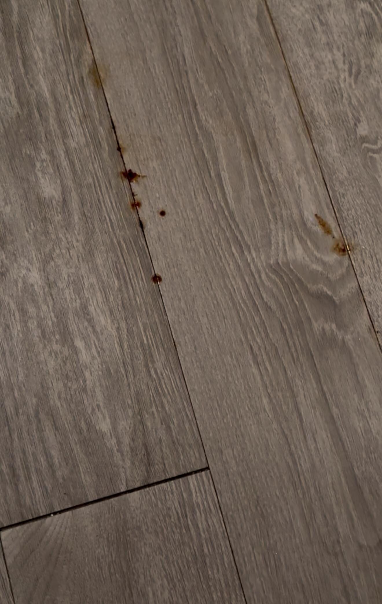 Weird black/brown liquid coming out of the bathroom floor in the master room