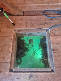 Window in the floor to watch sealife! Better than TV!