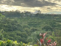 View from cabin 5