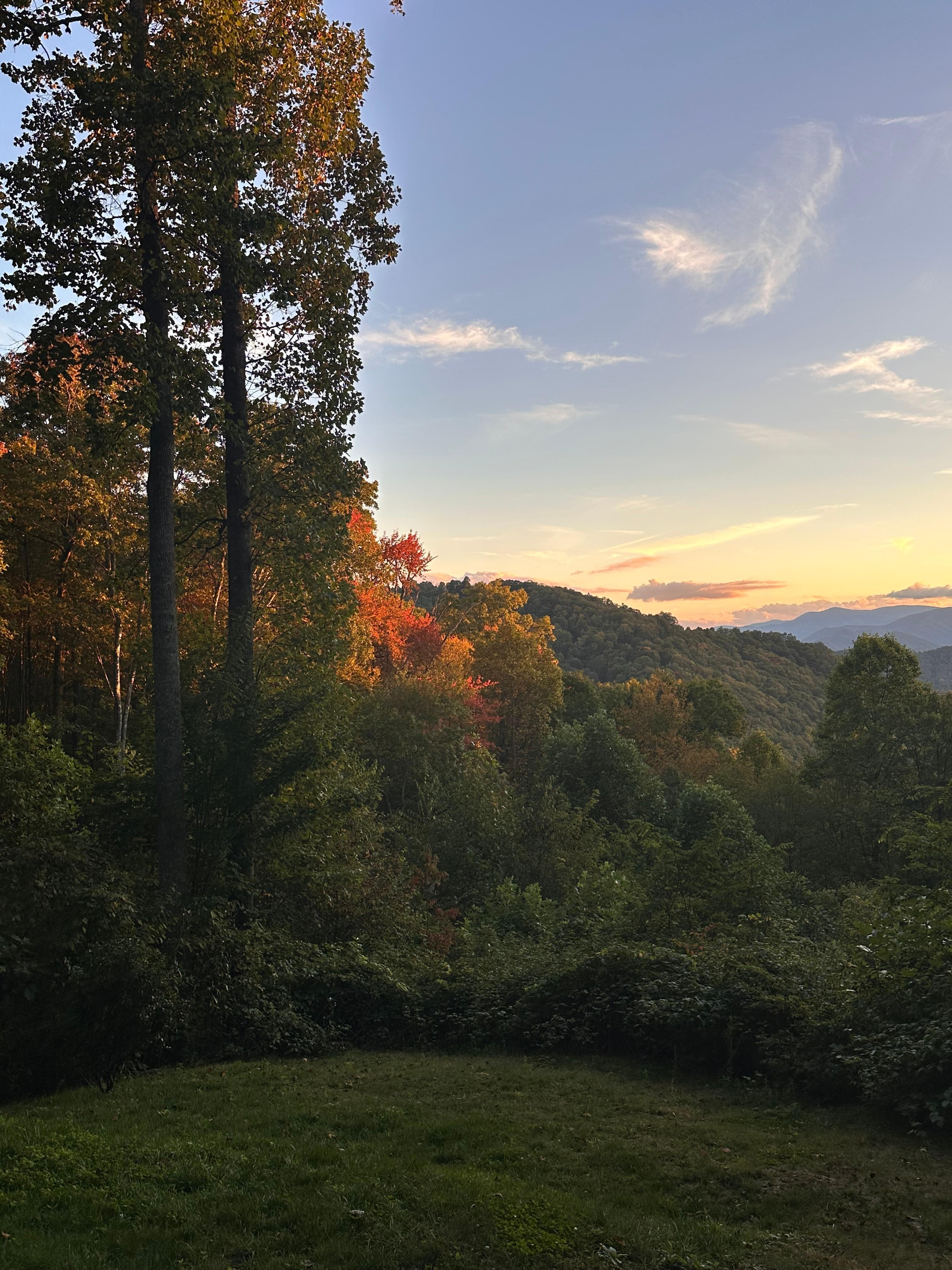 The leaves were turning!