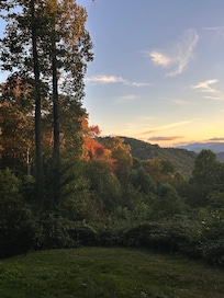 The leaves were turning!