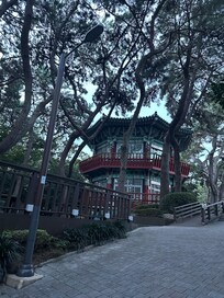 Camellia island which located right next to hotel.