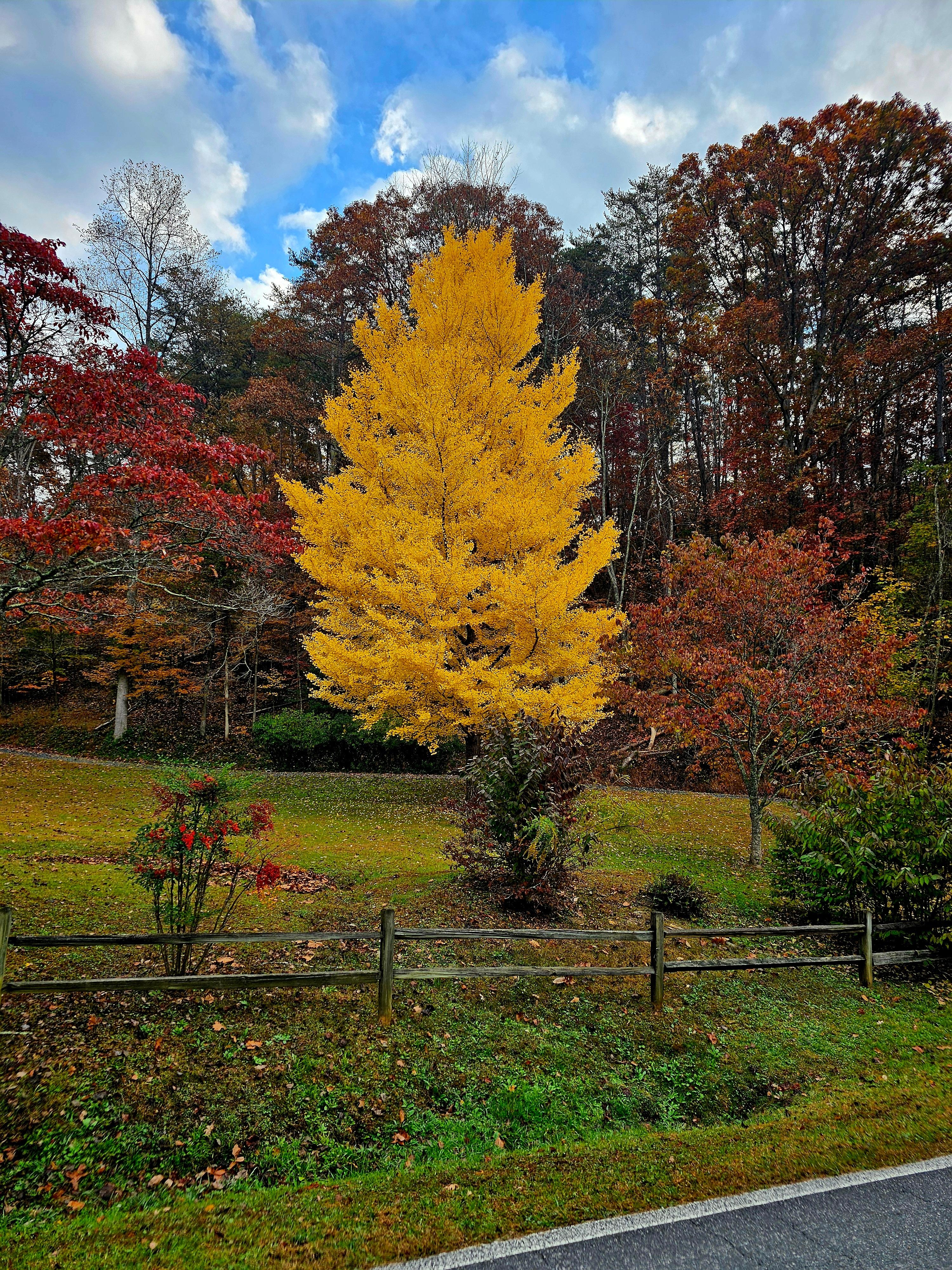 Love this time of year!