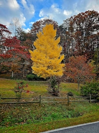 Love this time of year!