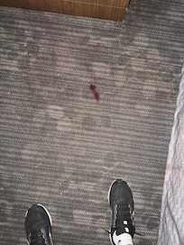 Blood stained carpet
