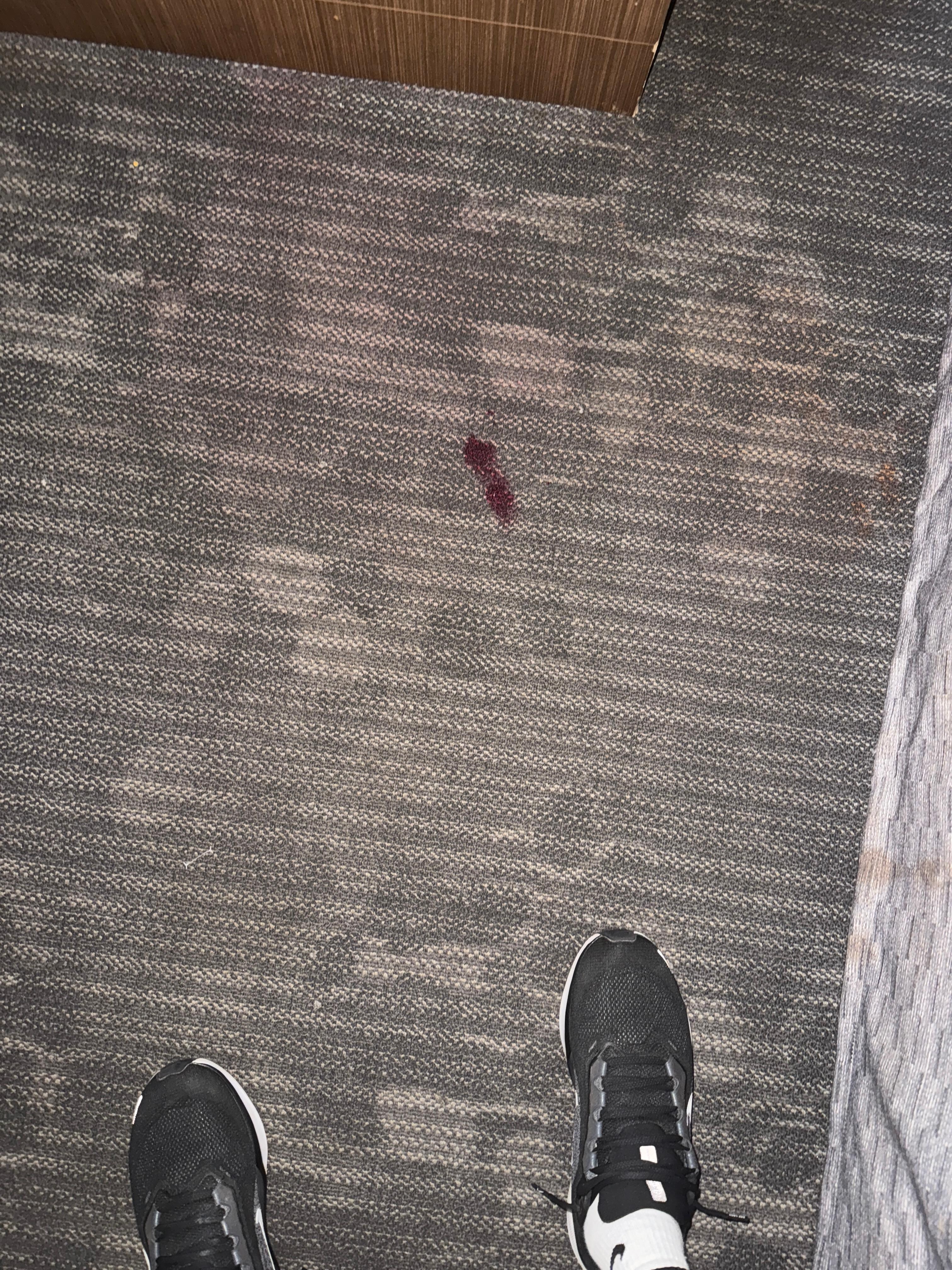 Blood stained carpet