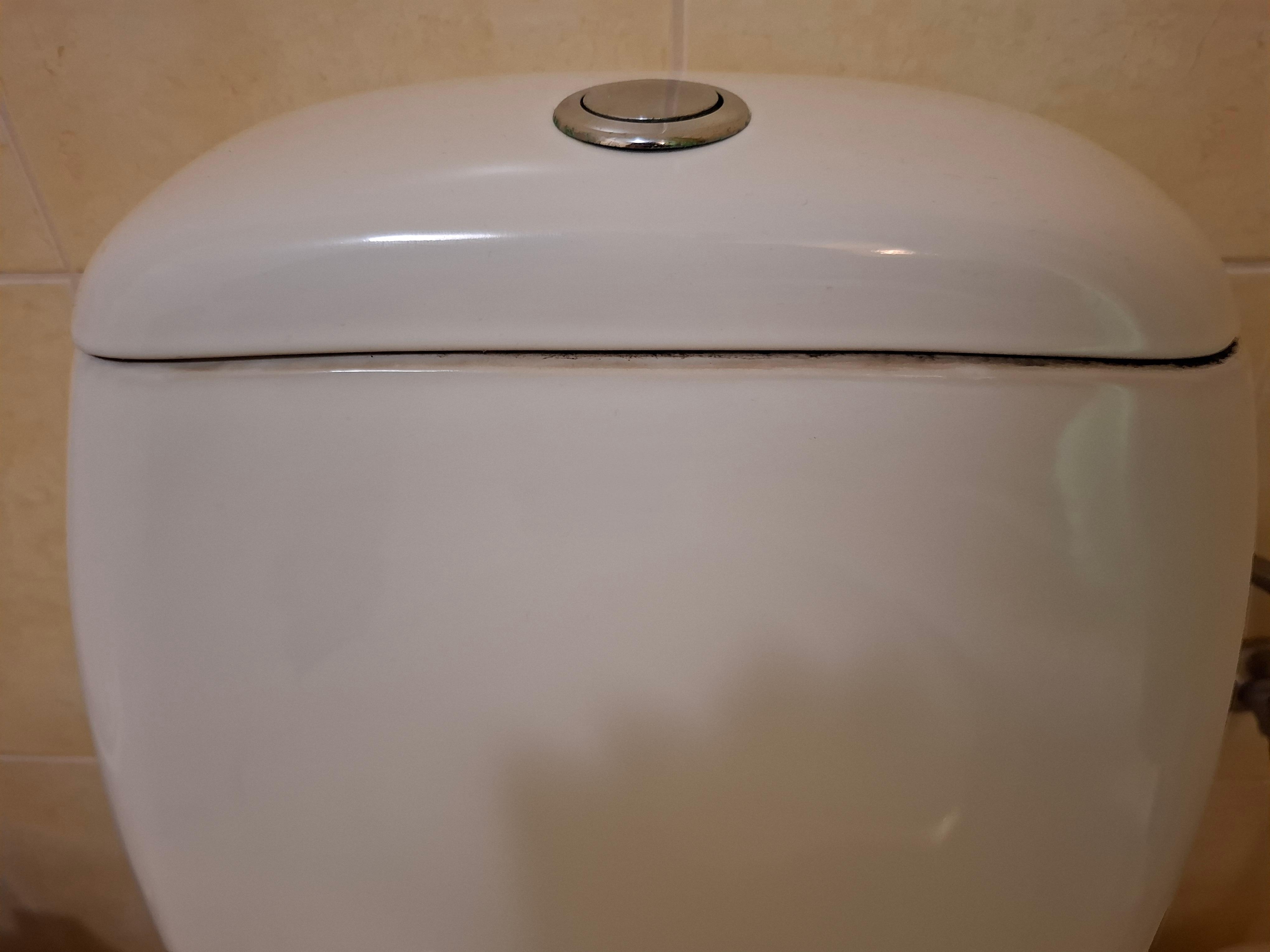 Schimmel beim Spülkasten