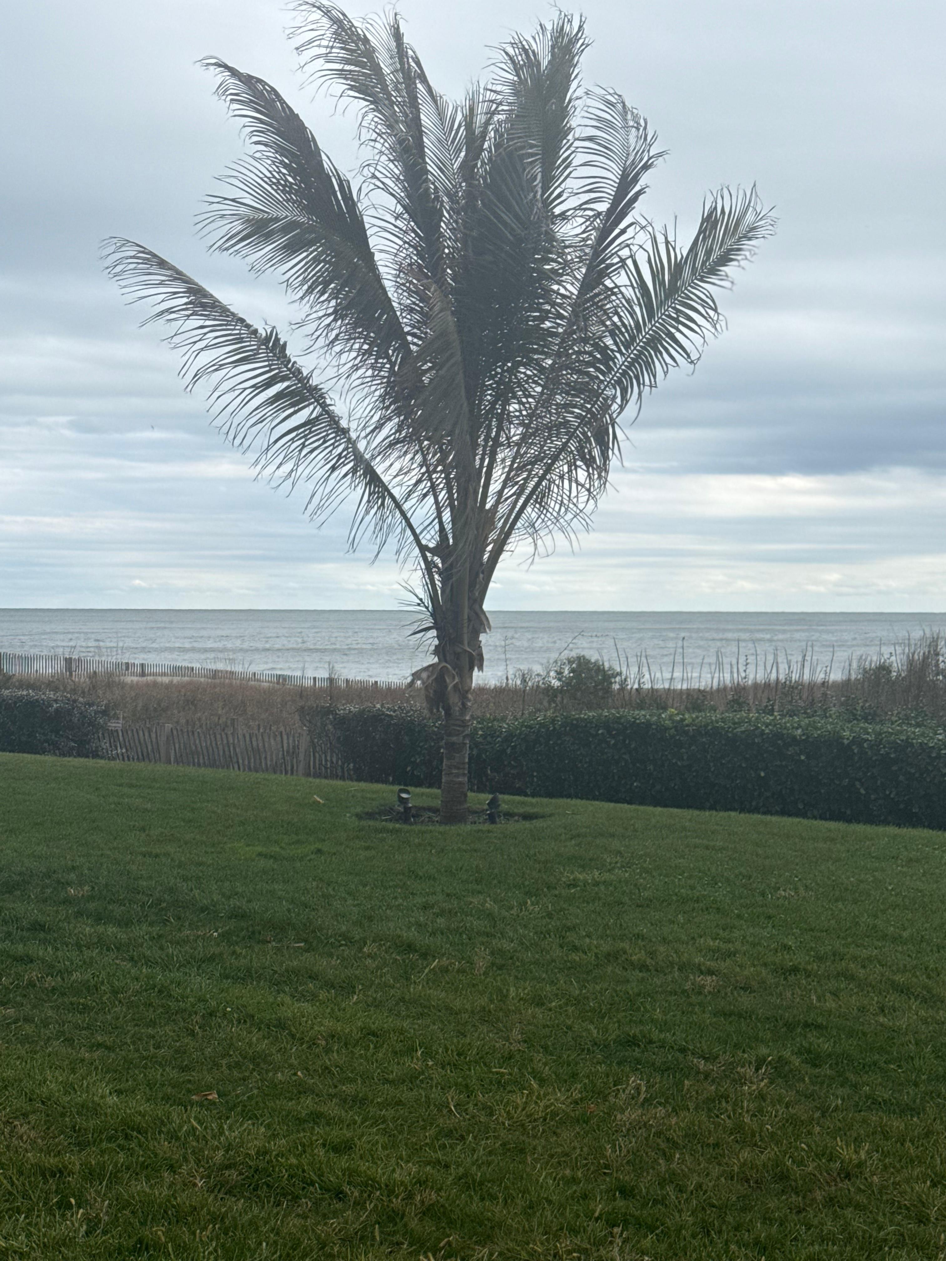 1st floor view, step out on lawn, short walk to beach. But  you can barely see the ocean from the cabana rooms 