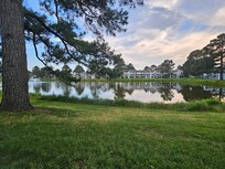 Back yard view!