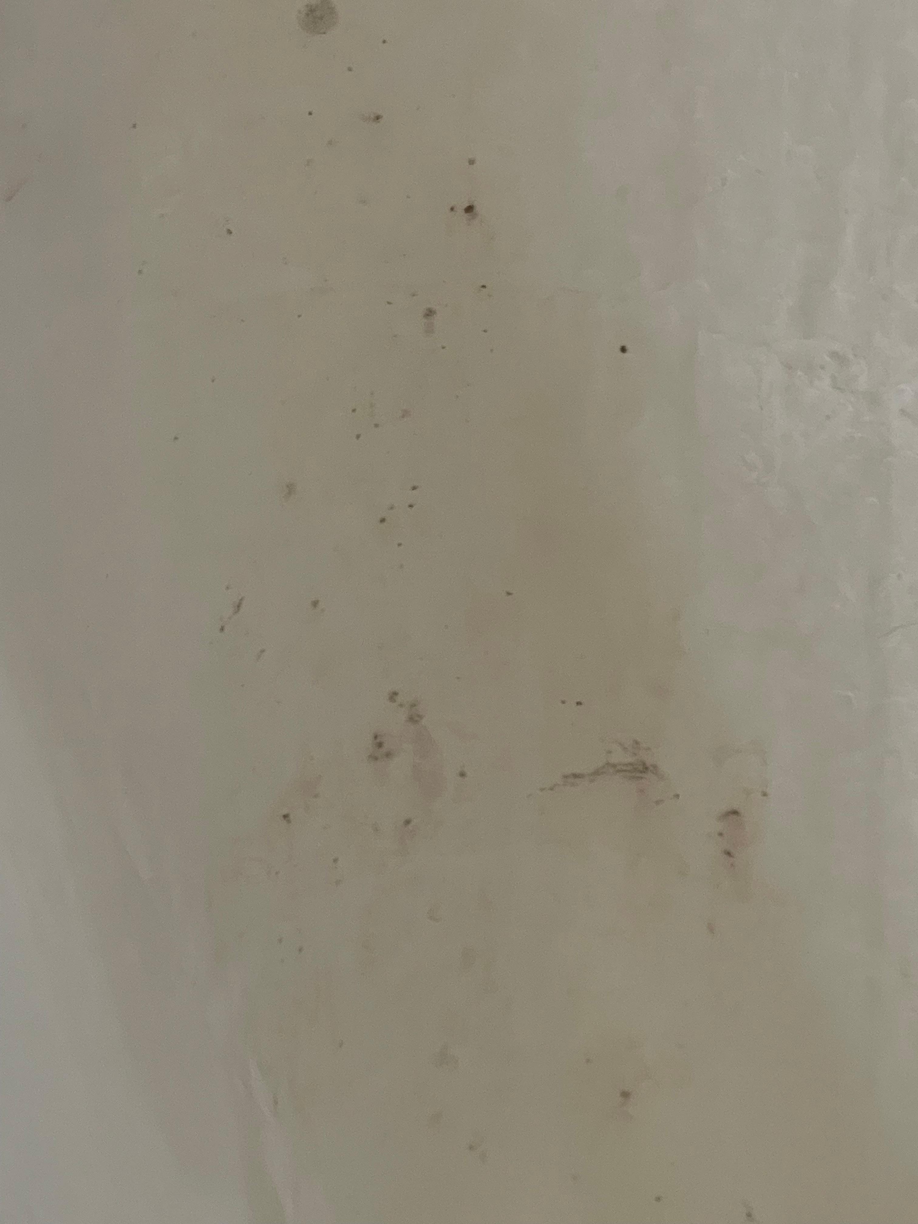 Shower curtain liner