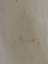 Shower curtain liner