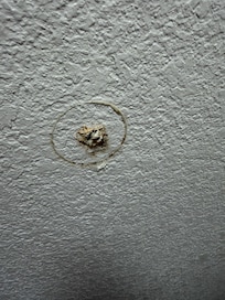 these sre on the ceiling