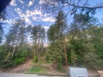 Our first view