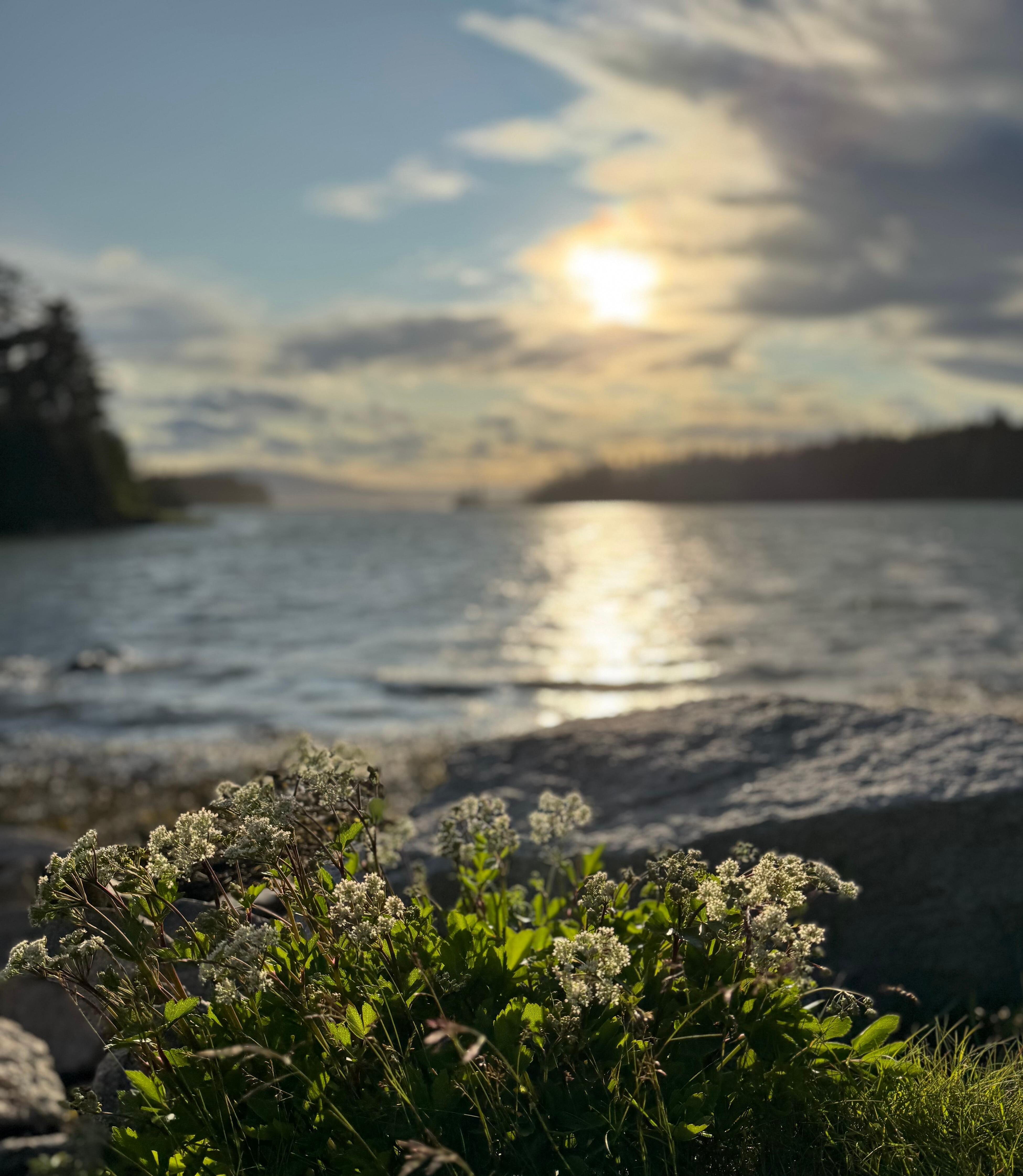 Acadia National Park - Schoodic Peninsula 