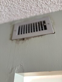 Mold around vent